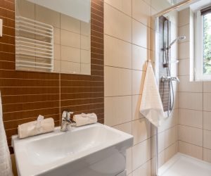 Small bathroom with brown tiling, mirror, shower and basin